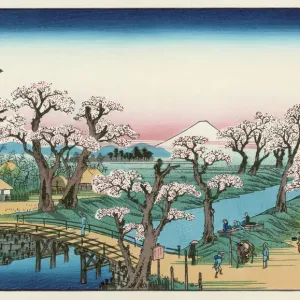 Mount Fuji Springtime Print