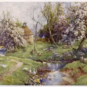 English Countryside Print: Geese and Sheep by a Spring Stream