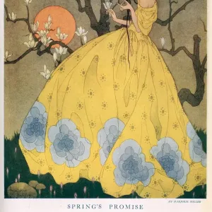 Springer verspricht, von Marjorie Miller