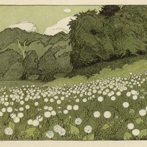 Dandelion-filled German meadow print Dandelion-filled German meadow print