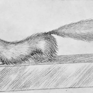 Gef the Talking Mongoose Print Gef the Talking Mongoose Print