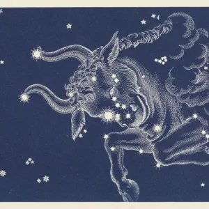 Taurus Constellation Print Taurus Constellation Print