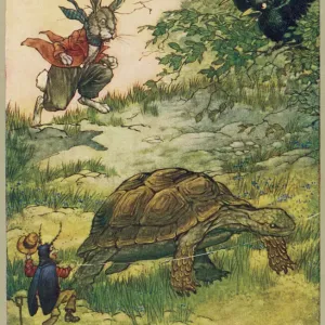 Landschildkröten