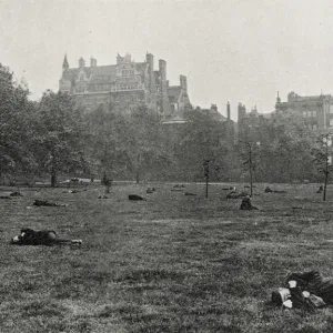 Vagrants Asleep in Green Park Print Vagrants Asleep in Green Park Print