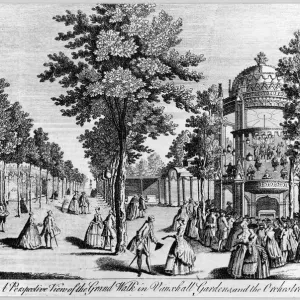 Vauxhall Gardens Print, 1766 - Grand Walk and Orchestra View Vauxhall Gardens Print, 1766 - Grand Walk and Orchestra View