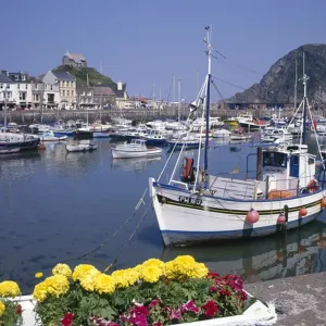 Blick auf den Hafen, Ilfracombe, Devon Blick auf den Hafen, Ilfracombe, Devon