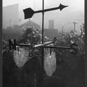 Weathervane with a spider's web Print Weathervane with a spider's web Print