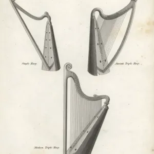 Copperplate Engraving of Welsh Harps Print, 1820 Copperplate Engraving of Welsh Harps Print, 1820