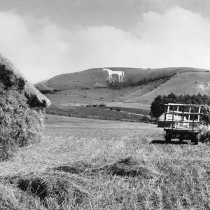 Westbury White Horse Print, a large chalk figure on the downs Westbury White Horse Print, a large chalk figure on the downs
