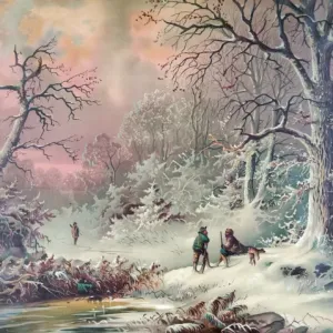 American winter in the woods American winter in the woods