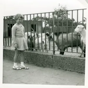 The Zoo, Southampton Print: Girl with Goats, 1960s The Zoo, Southampton Print: Girl with Goats, 1960s