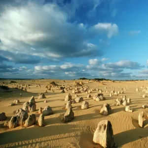 Australia - The Pinnacles Limestone Print Australia - The Pinnacles Limestone Print