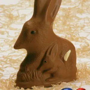 Chocolate Bilby Print - Australia's Easter Bunny Chocolate Bilby Print - Australia's Easter Bunny
