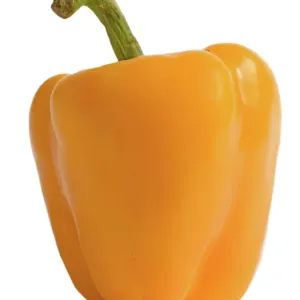 Orange Pepper Studio Print (Fruit & Veg) LA-5052 Orange Pepper Studio Print (Fruit & Veg) LA-5052