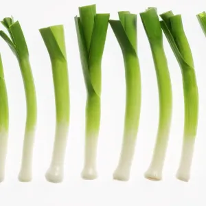 Scallion Leeks Print Scallion Leeks Print
