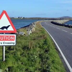 Benbecula Otter Crossing Print Benbecula Otter Crossing Print