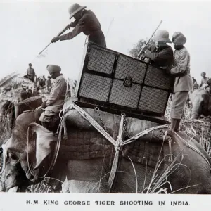 King George 5th Tiger Shooting Print King George 5th Tiger Shooting Print