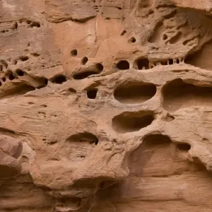 Distinctive erosion patterns in sandstone cliff. Arches National Park, Utah Distinctive erosion patterns in sandstone cliff. Arches National Park, Utah
