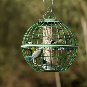 Sisquín y Titos en un globito de avistamiento para pájaros resistentes a los ardientes Sisquín y Titos en un globito de avistamiento para pájaros resistentes a los ardientes