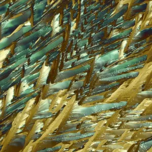 Print of Adrenaline Crystals under Polarized Light Microscopy