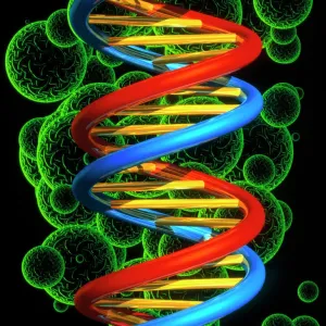 Computer artwork of beta DNA segment print Computer artwork of beta DNA segment print