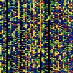Computer Screen Print: Human DNA Sequence Computer Screen Print: Human DNA Sequence