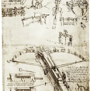 Da Vinci's Giant Crossbow Print Da Vinci's Giant Crossbow Print