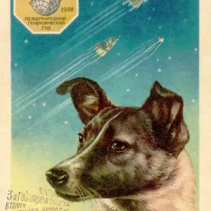 Laika la perro del espacio tarjeta postal. Laika la perro del espacio tarjeta postal.
