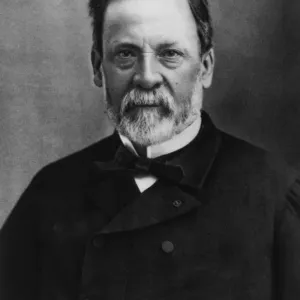 Print of Louis Pasteur, a French chemist and microbiologist Print of Louis Pasteur, a French chemist and microbiologist