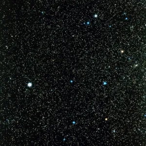 Pegasus Constellation Print Pegasus Constellation Print