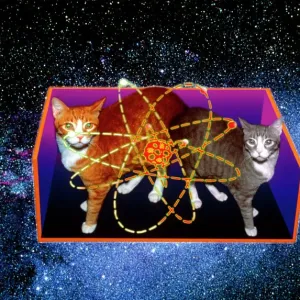 Schrodingers Cat Print Schrodingers Cat Print