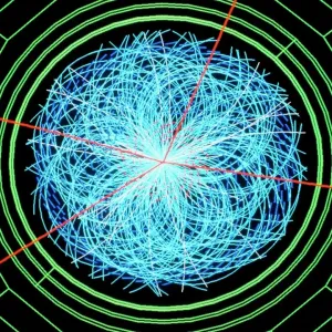 Simulation of Higgs boson production Print Simulation of Higgs boson production Print