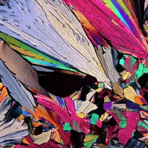 Polarised Light Micrograph Print of Testosterone Crystals Polarised Light Micrograph Print of Testosterone Crystals