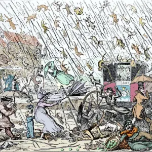 A print of people in a town street, with cats and dogs falling from the sky A print of people in a town street, with cats and dogs falling from the sky