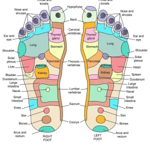 Reflexology Foot Map Print Reflexology Foot Map Print