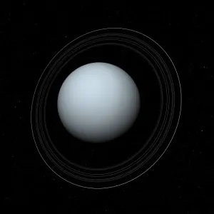 Uranus and its Rings Print Uranus and its Rings Print