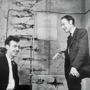 Watson y Crick con su modelo de ADN Watson y Crick con su modelo de ADN