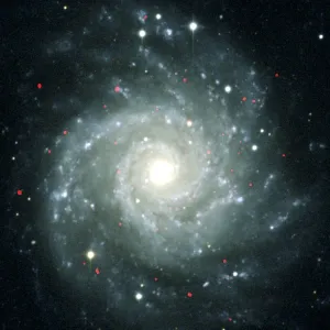 Fuentes de rayos X en el agujero negro M74, imagen del telescopio espacial Chandra Fuentes de rayos X en el agujero negro M74, imagen del telescopio espacial Chandra