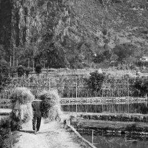 Black and White Print of Yangshuo Farm Worker Black and White Print of Yangshuo Farm Worker