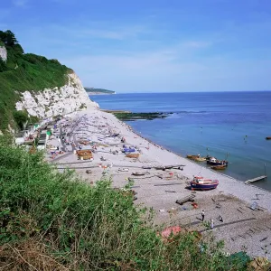 Devon Coast Print