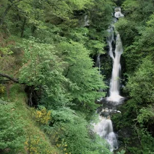 The Black Spout Print, Pitlochry Waterfall The Black Spout Print, Pitlochry Waterfall