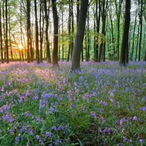 Gloucestershire Verwandte Bilder