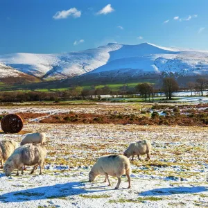 Brecon Beacons National Park Print