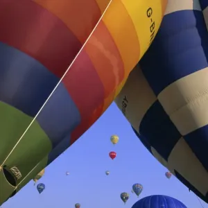 Bristol Balloon Festival Print Bristol Balloon Festival Print