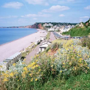 Budleigh Salterton, Devon, Inghilterra Regno Unito Europa Budleigh Salterton, Devon, Inghilterra Regno Unito Europa