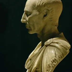 Skulpturen