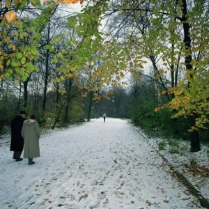 Una pareja caminando en la nieve en el Tiergarten de Berlín Alemania Europa Una pareja caminando en la nieve en el Tiergarten de Berlín Alemania Europa