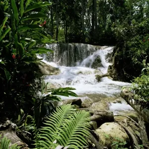 Dunns River Falls Print