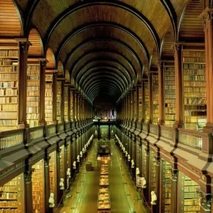 Galleria dell'Antica Biblioteca Galleria dell'Antica Biblioteca