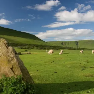 Hay Bluff Print, Brecon Beacons, Powys, Wales